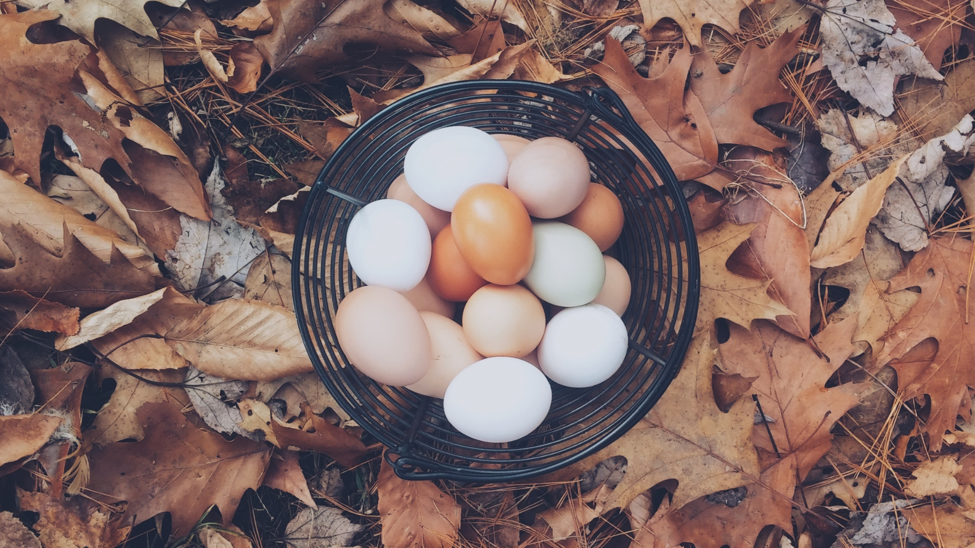 Think about eggs when devising your network interconnection strategy